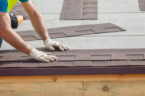 Best Asphalt Shingle Roofing  in Port Reading, NJ